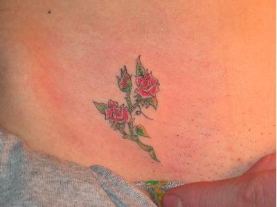 Nichole's Rose