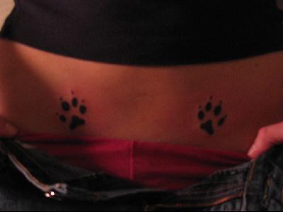 Amy's Paws 1