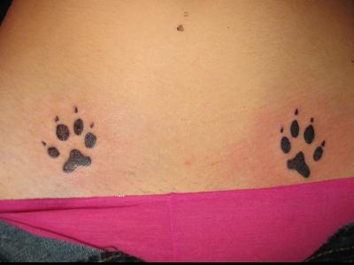 Amy's Paws 2