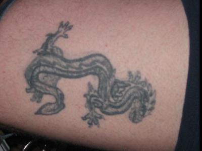 Jesse's Dragon
